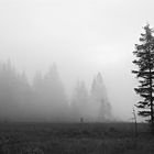 Nebel im Salzburger Land