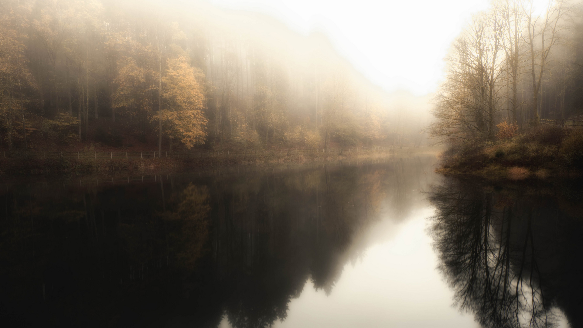 Nebel im Sauerland