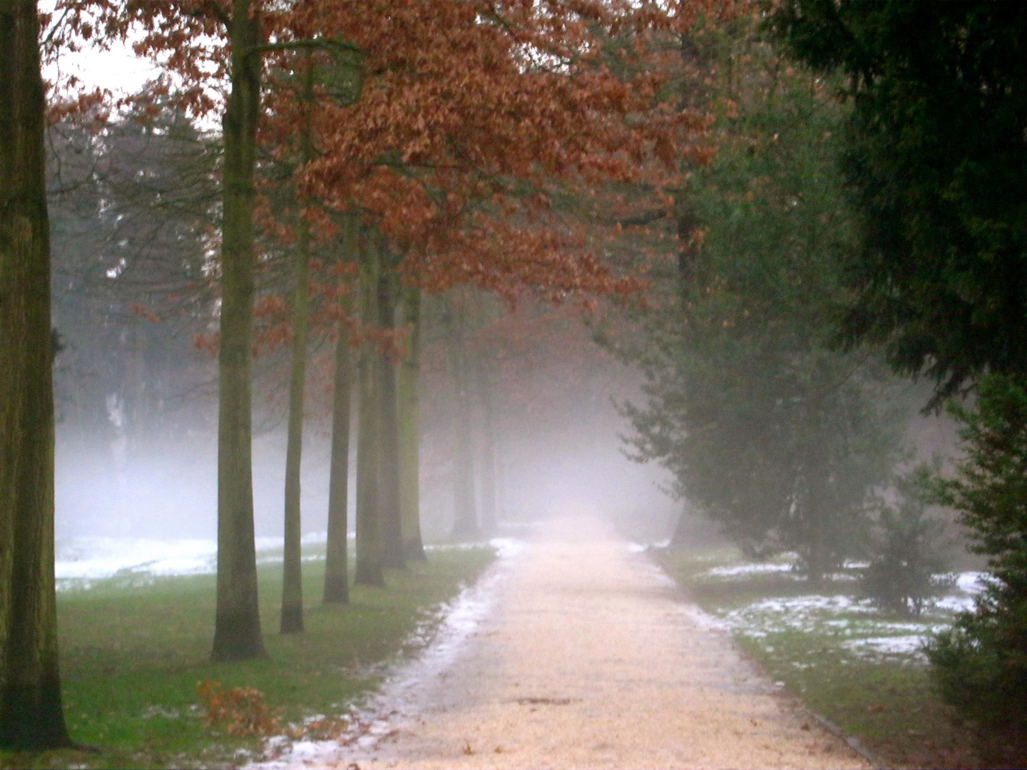 Nebel im Schloßpark Bad Homburg