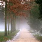 Nebel im Schloßpark Bad Homburg