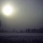 Nebel im Schnee