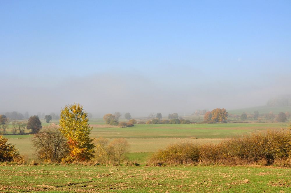 Nebel im Schwarzachtal...