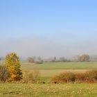 Nebel im Schwarzachtal...