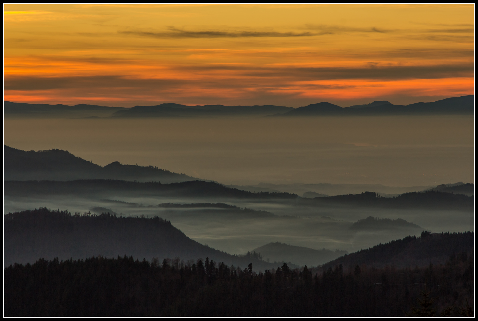 Nebel im Schwarzwald