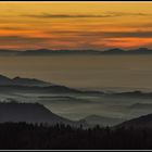 Nebel im Schwarzwald