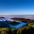 Nebel im Schwarzwald 18-10-2021