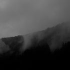 Nebel im Schwarzwald