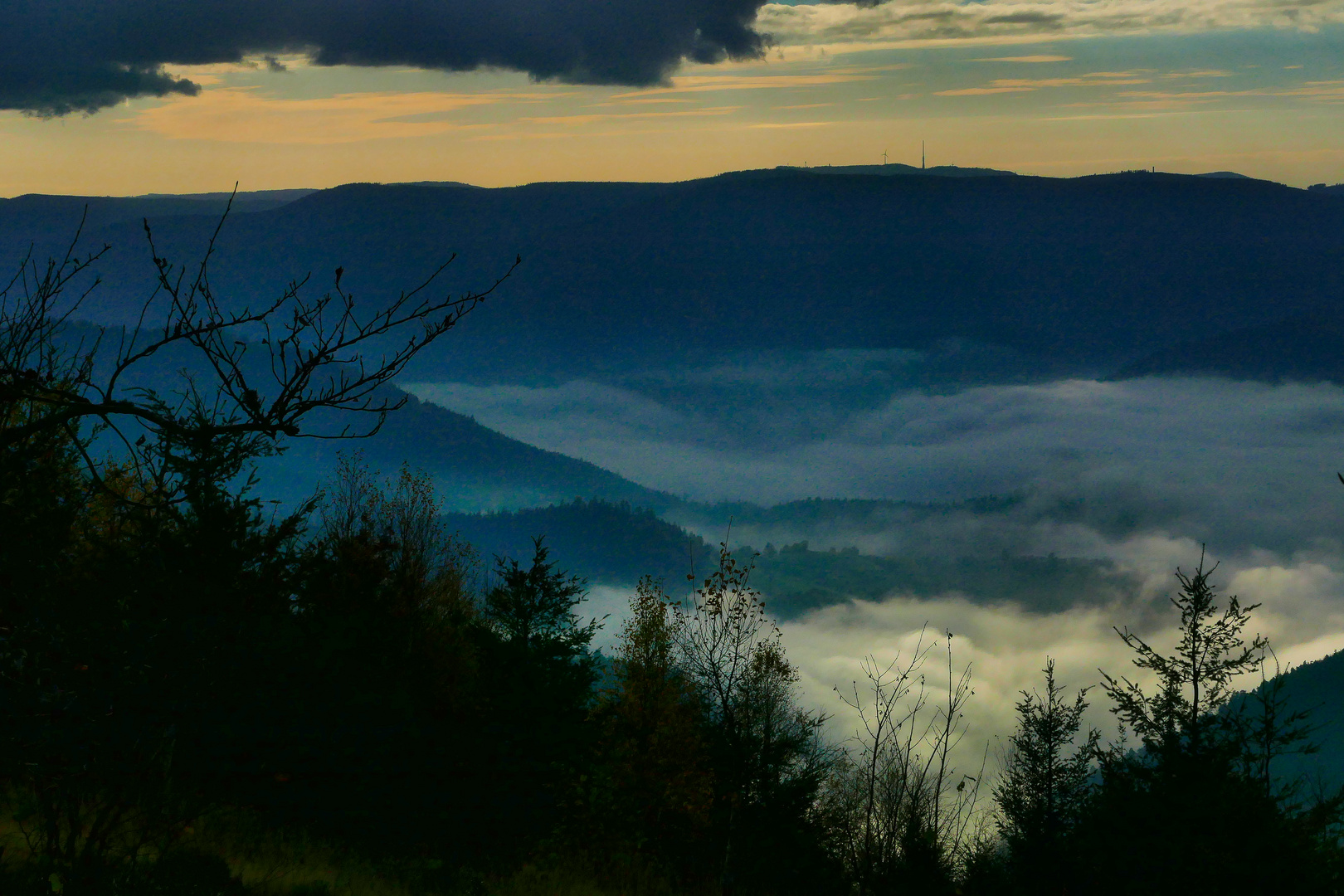 Nebel im Schwarzwald 