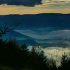 Nebel im Schwarzwald 