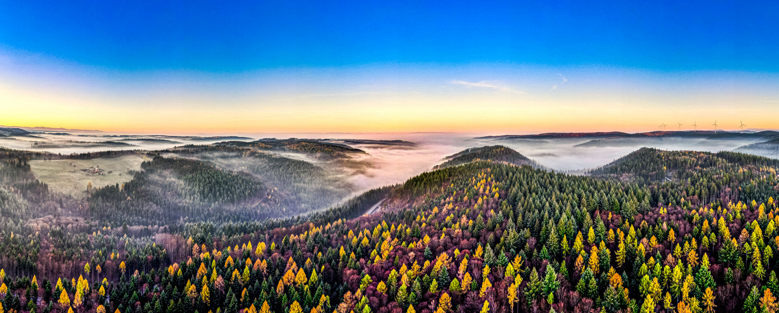 Nebel im Schwarzwald 