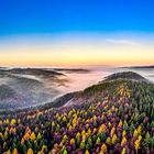 Nebel im Schwarzwald 