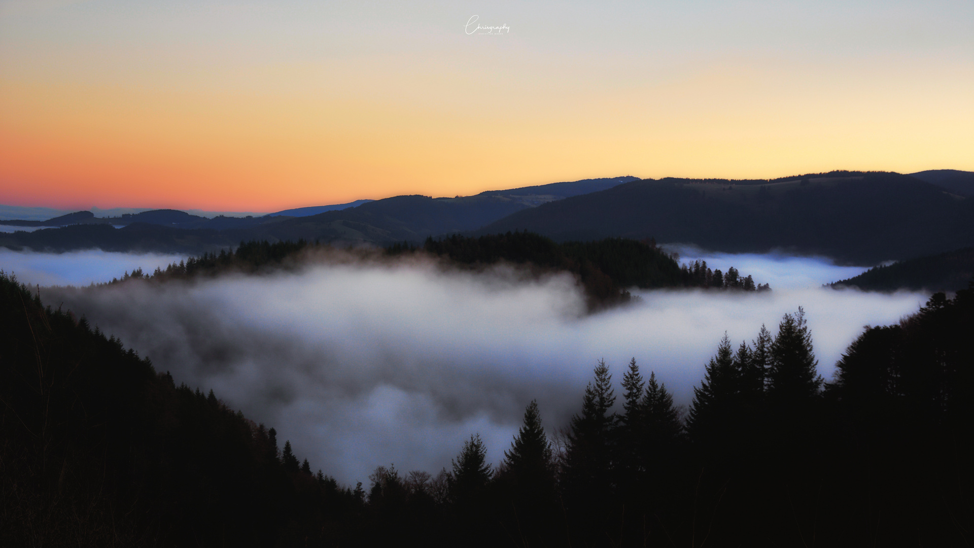 Nebel im Schwarzwald