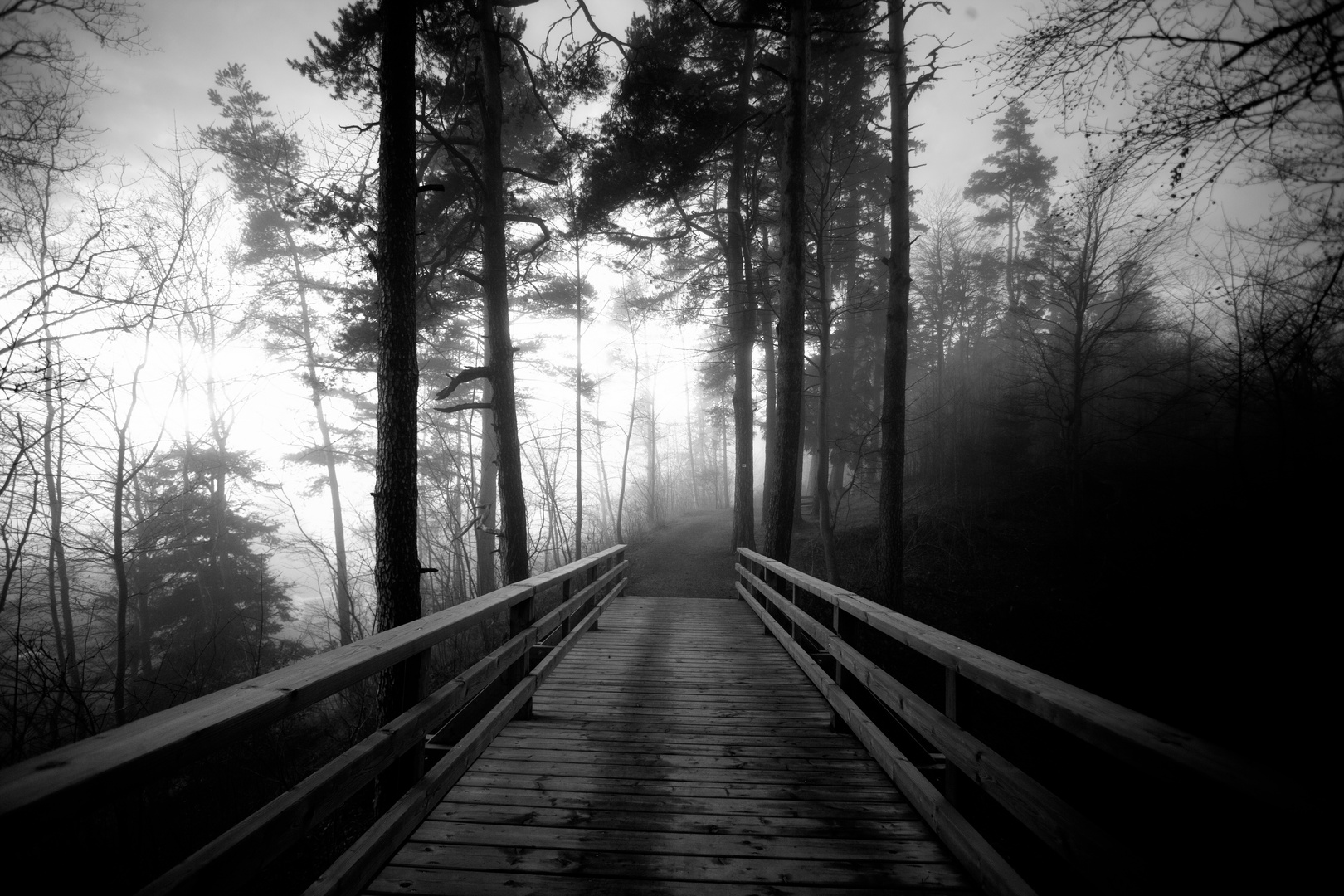 Nebel im Schwarzwald