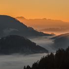 Nebel im Schweizer Jura