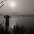 Nebel im Schwenninger Moos