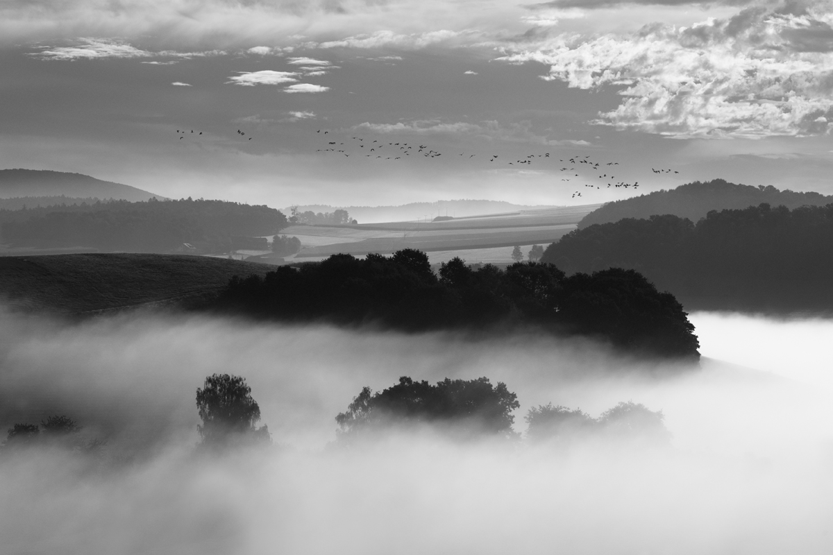 Nebel im September