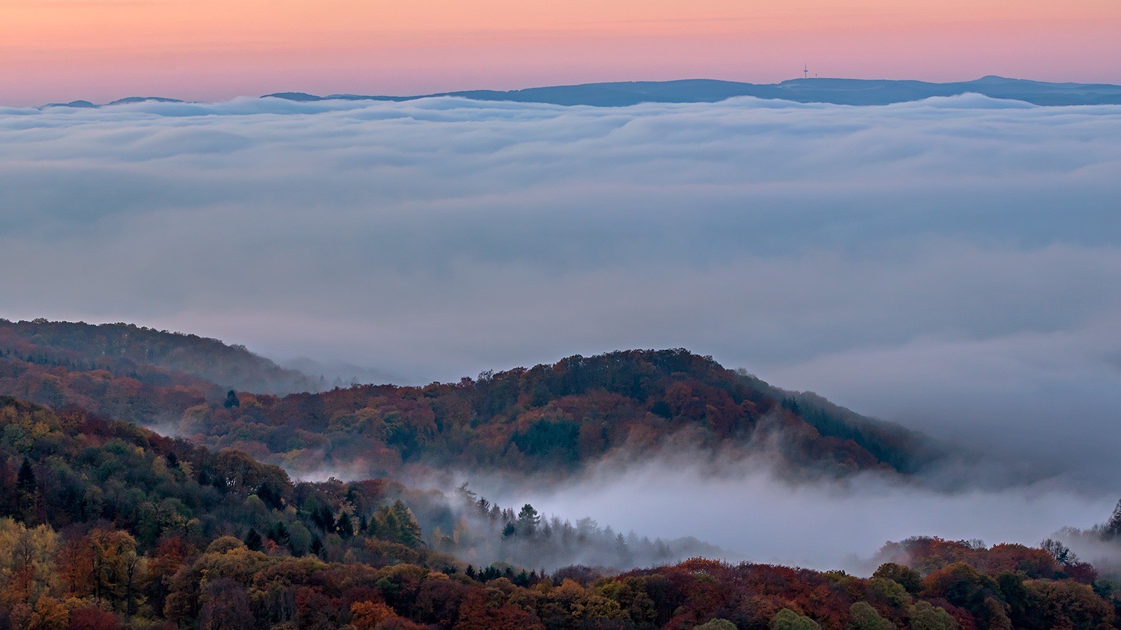 Nebel im Siebengebirge 