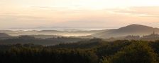 Nebel im Siebengebirge von Regine B.