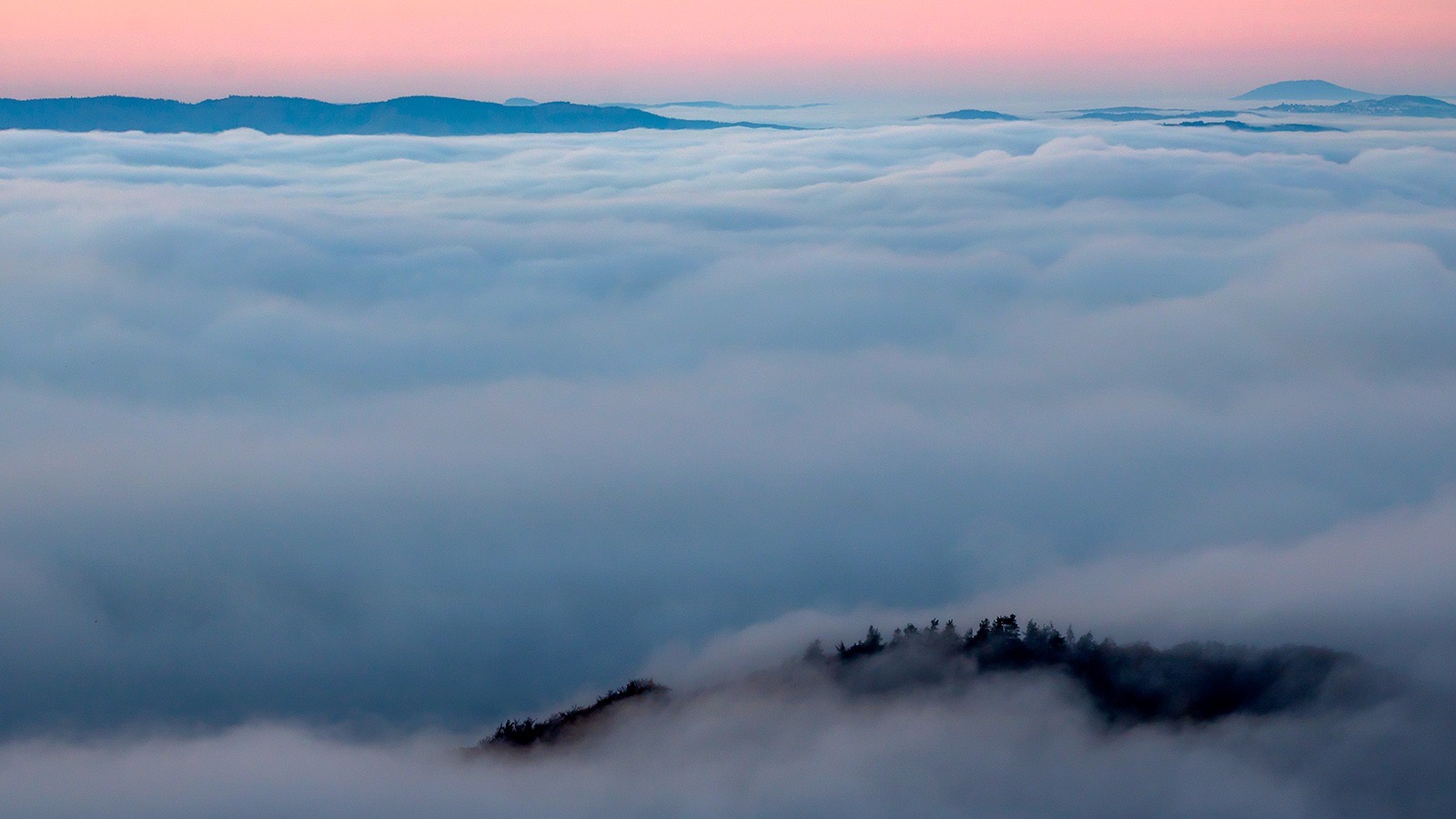 Nebel im Siebengebirge 