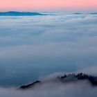 Nebel im Siebengebirge 