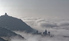 Nebel im Siebengebirge