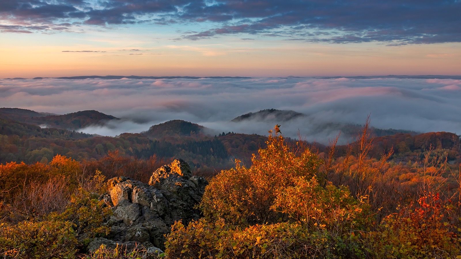 Nebel im Siebengebirge