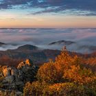 Nebel im Siebengebirge