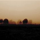 Nebel im Siegbogen 