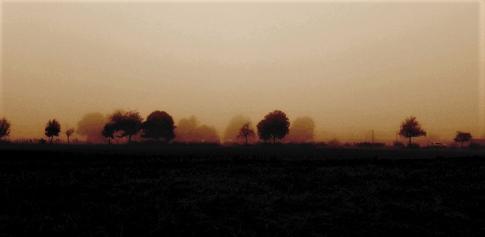 Nebel im Siegbogen 