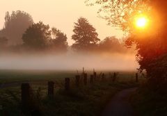  Nebel im Sommer