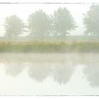 Nebel im Sommer / fog in summertime