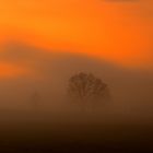 Nebel im Sonnenaufgang