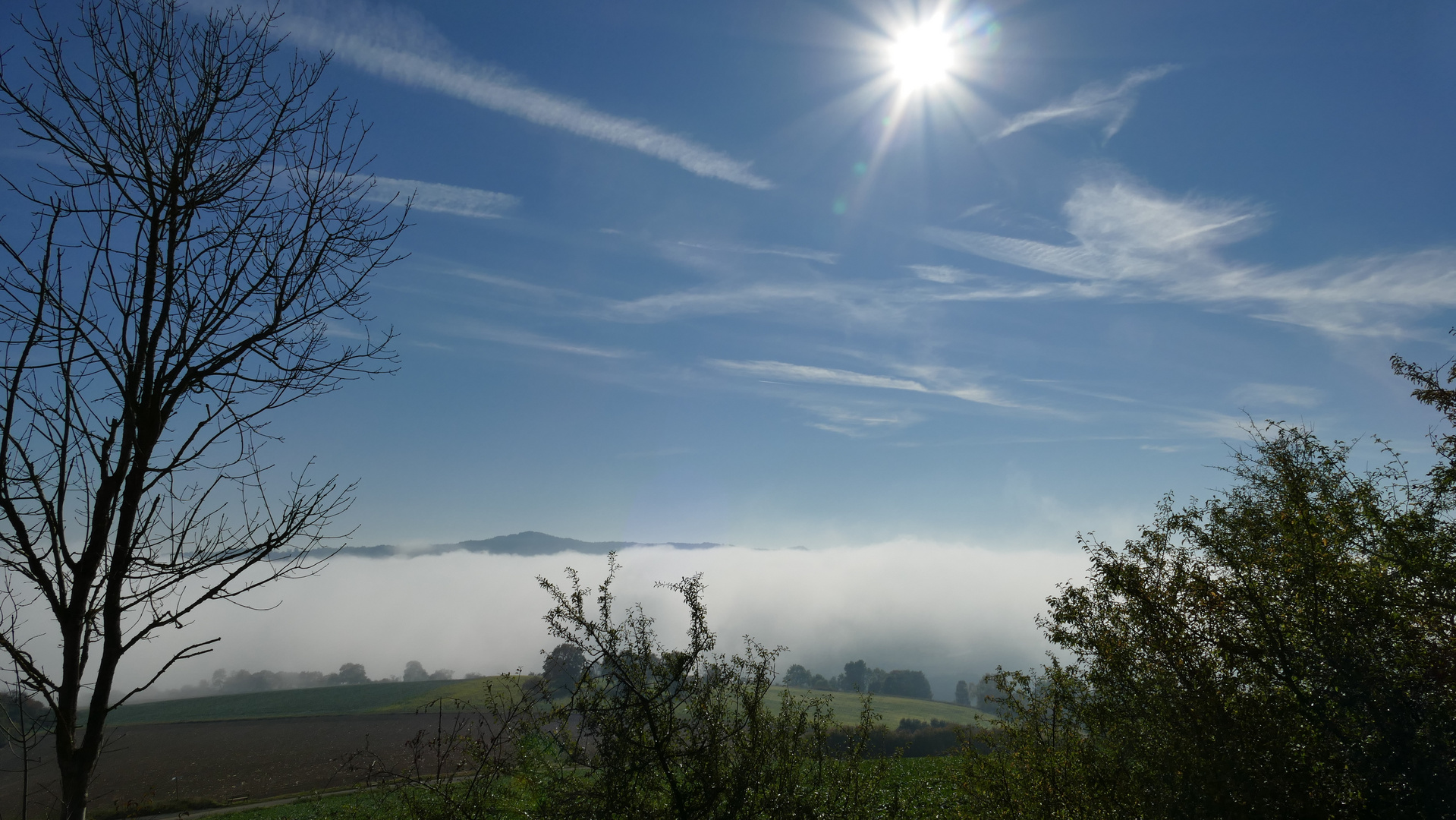 Nebel im Sonnenschein