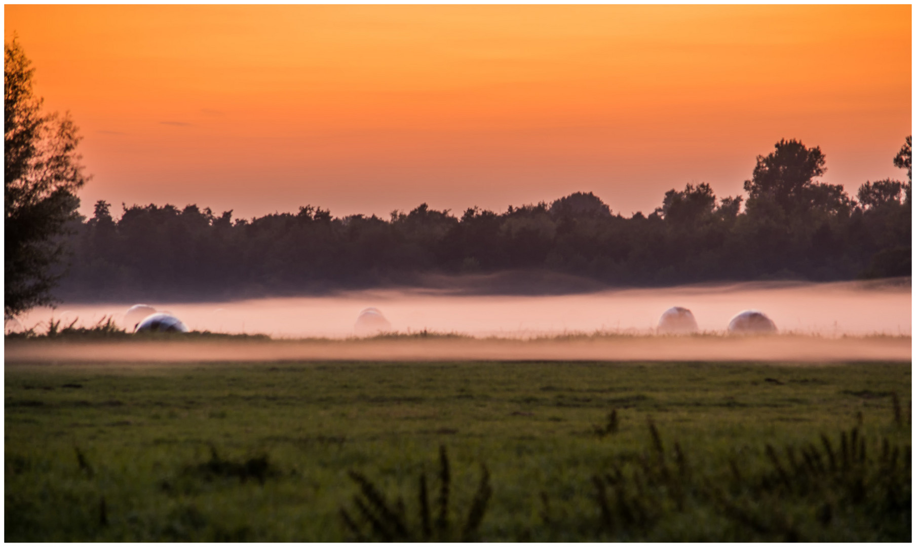 Nebel im Sonnenuntergang