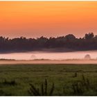 Nebel im Sonnenuntergang