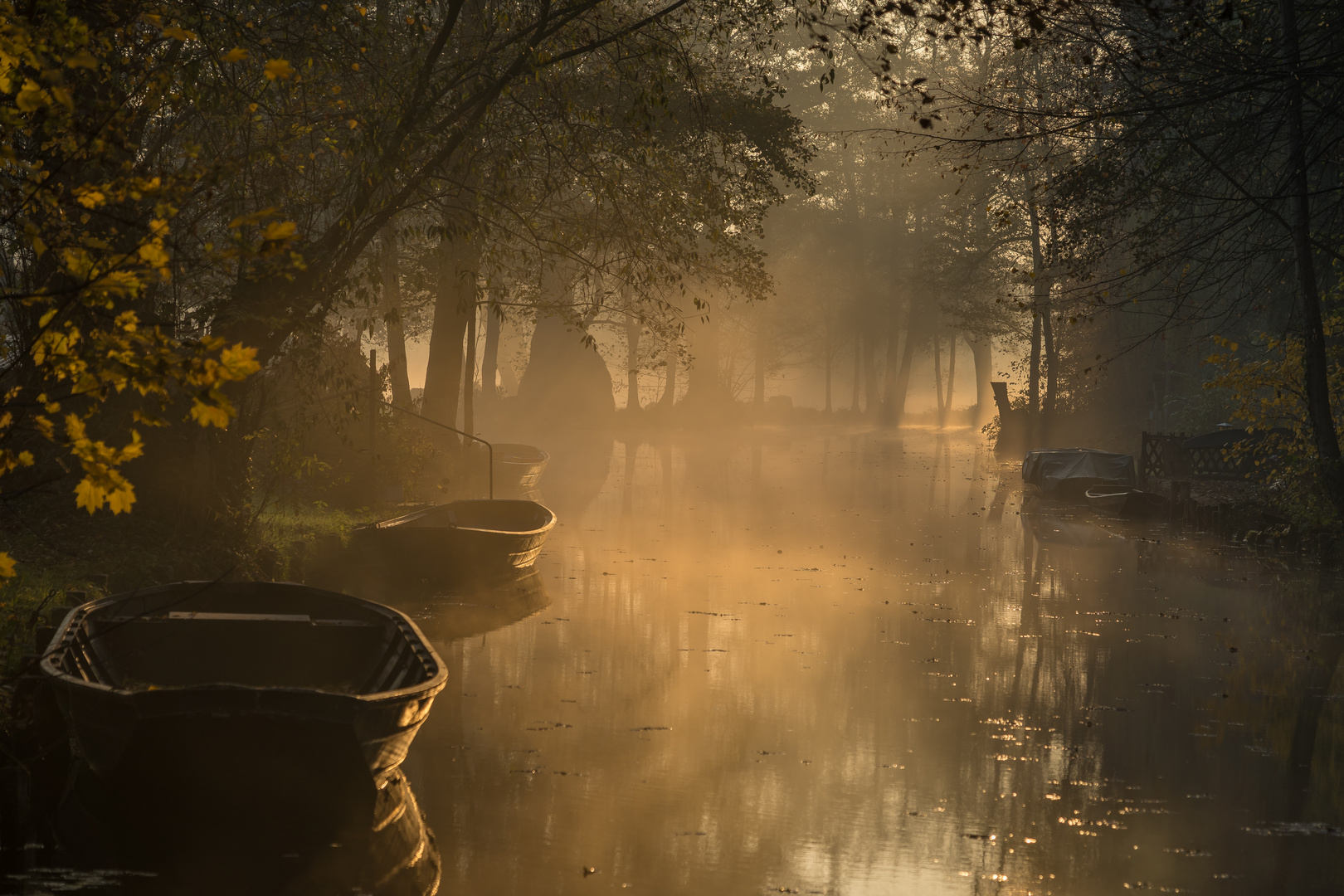 Nebel im Spreewald