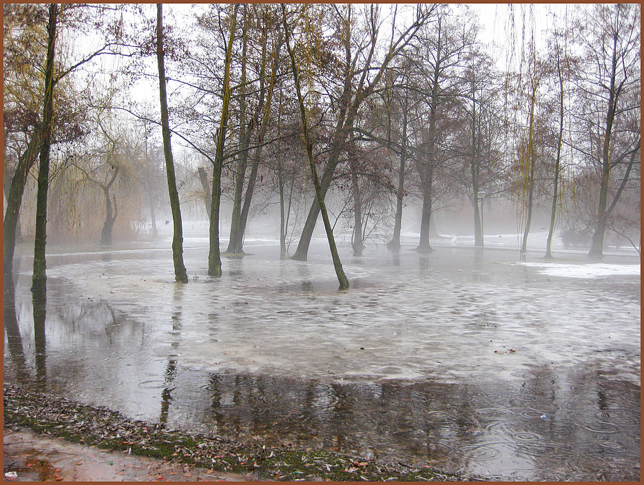 nebel im südpark