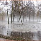 nebel im südpark