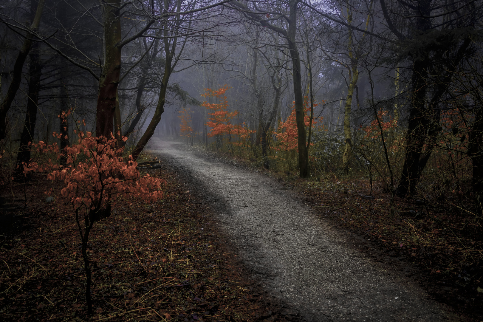 Nebel im Südwäldchen