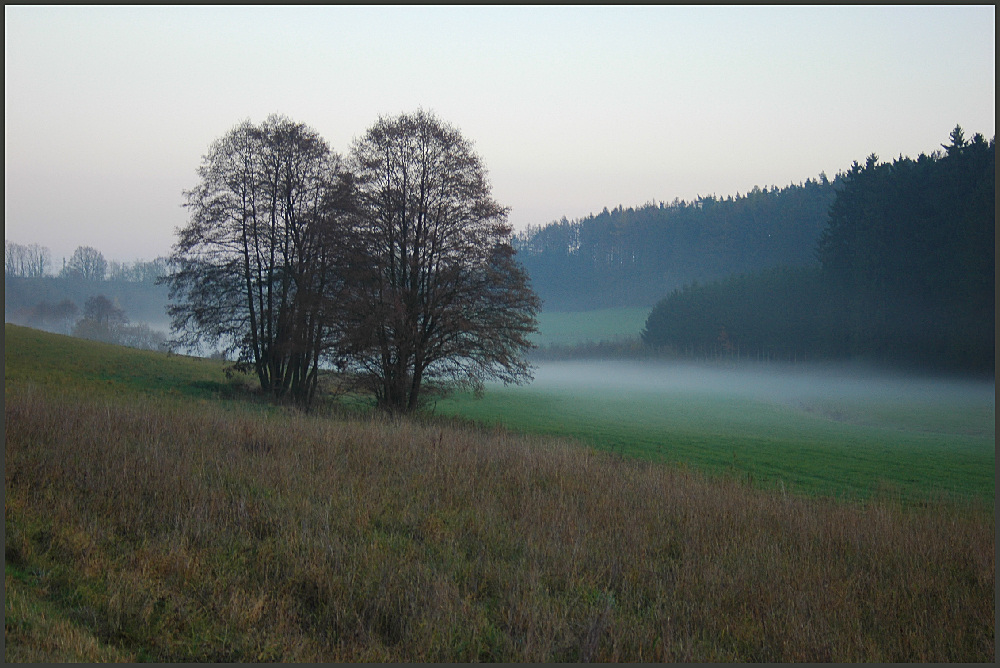 Nebel im Tal