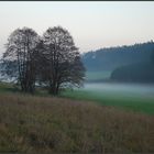 Nebel im Tal