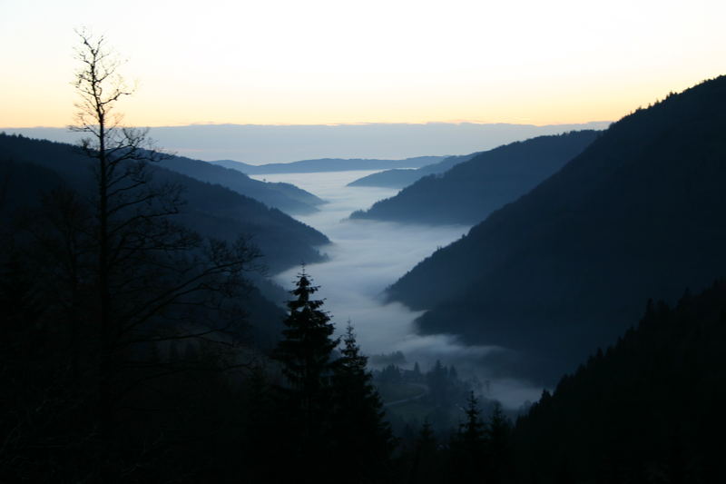 Nebel im Tal