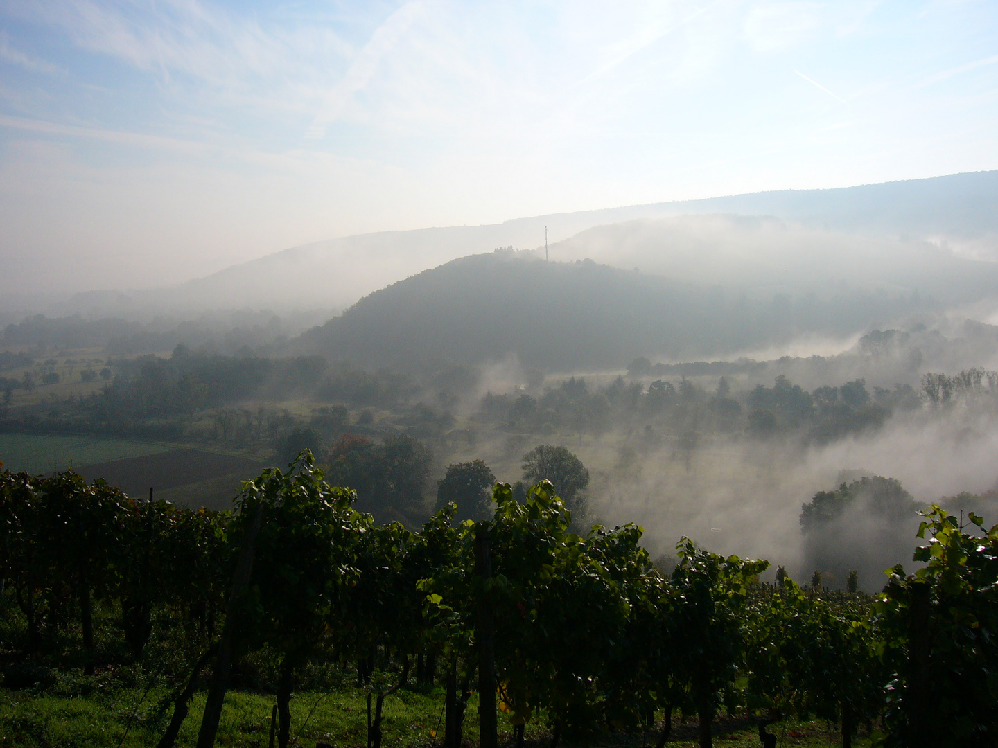 Nebel im Tal