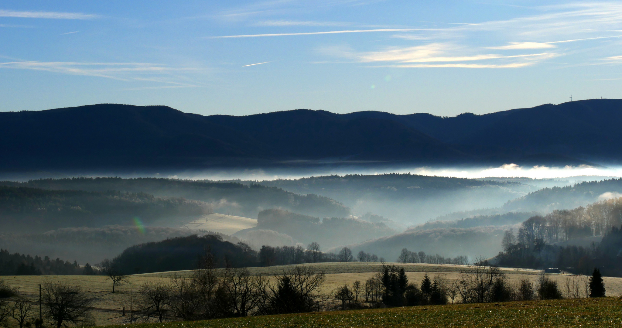 Nebel im Tal