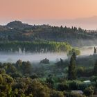 "Nebel im Tal"