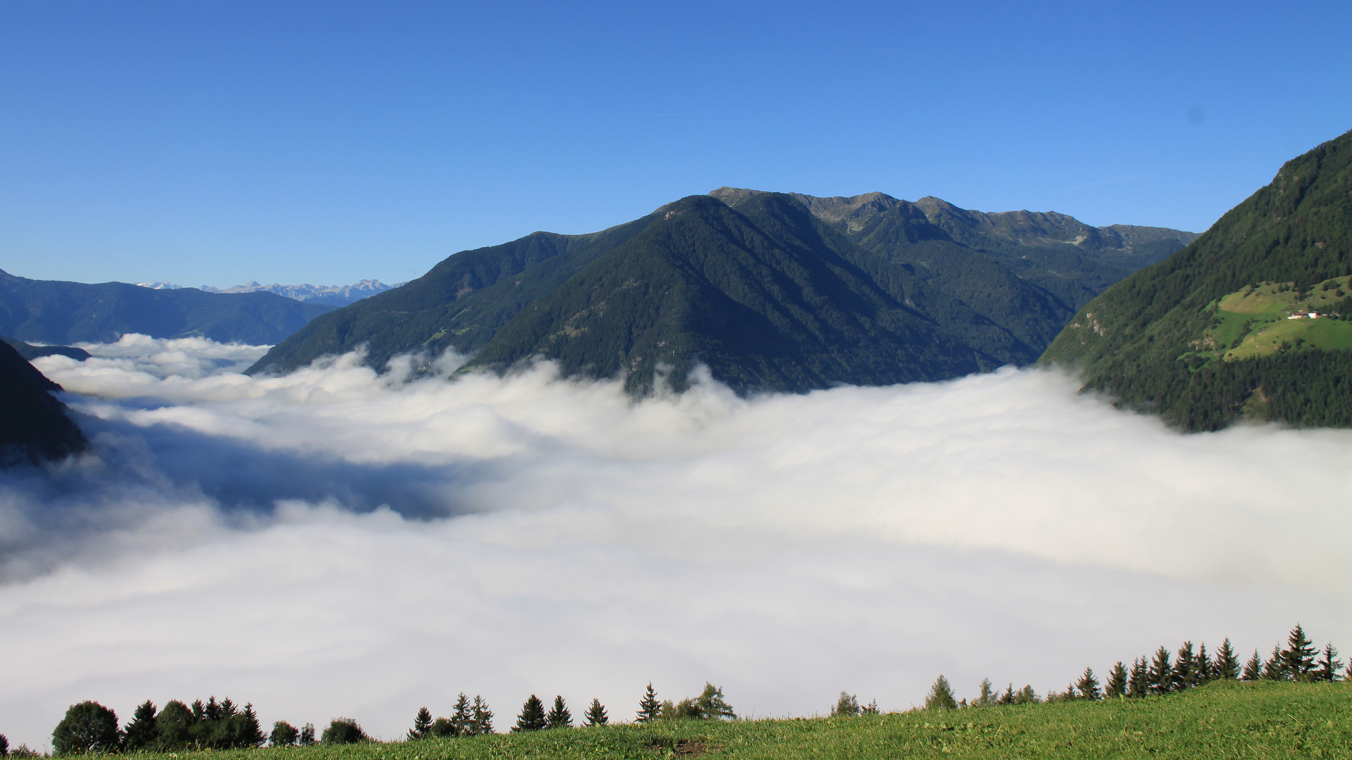 Nebel im Tal