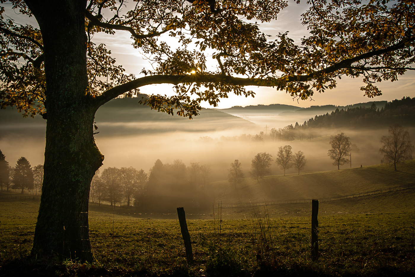 Nebel im Tal