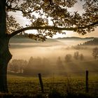 Nebel im Tal