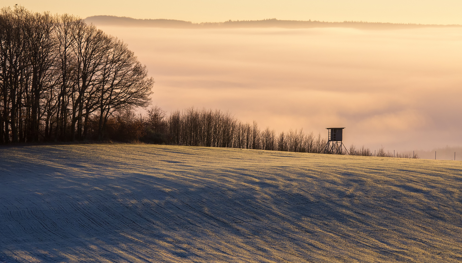 Nebel im Tal