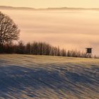 Nebel im Tal